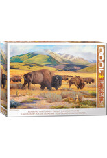 Eurographics Puzzle: Roaming the Plains