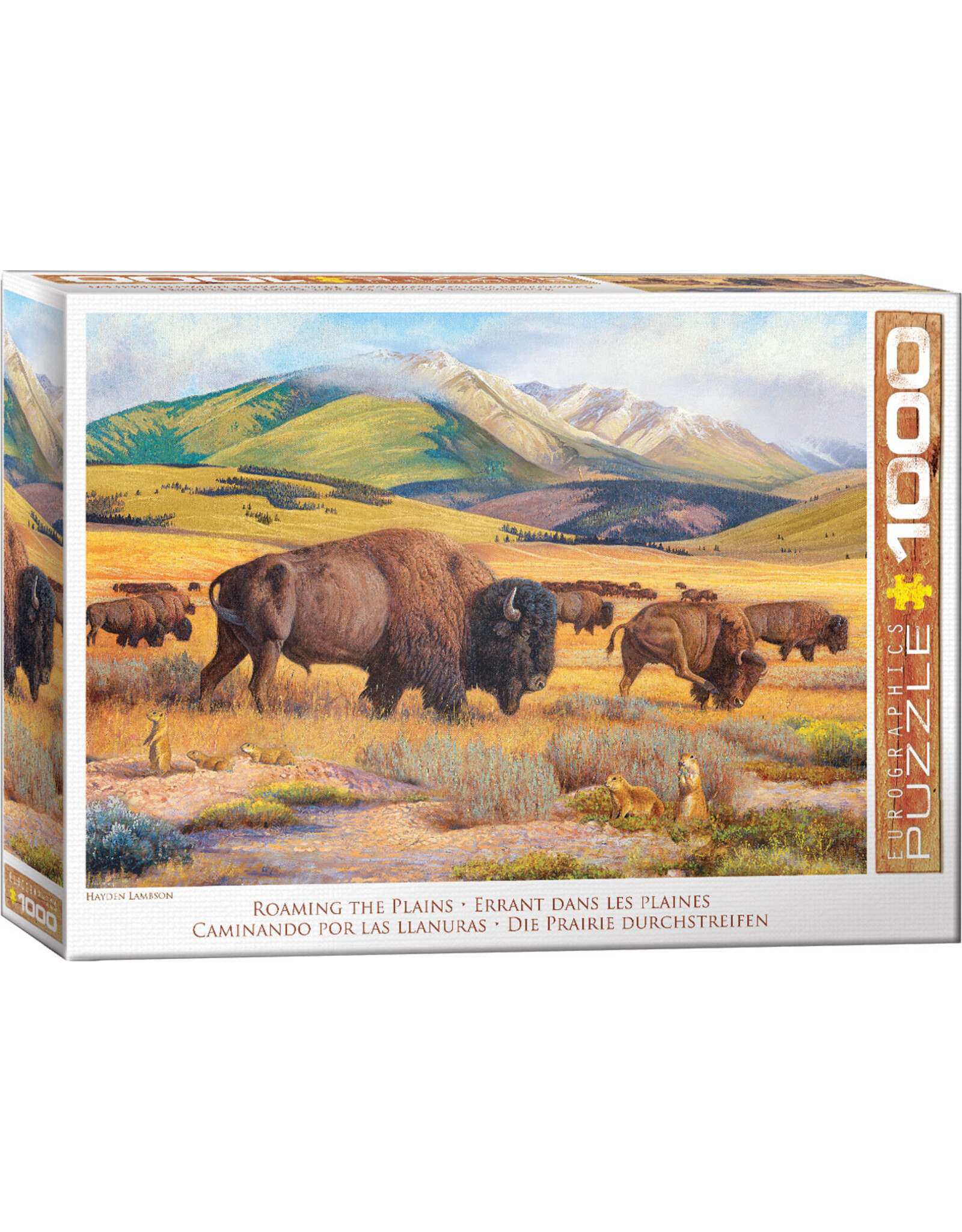 Eurographics Puzzle: Roaming the Plains