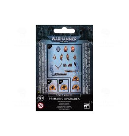 Warhammer 40K Space Wolves Primaris Upgrades