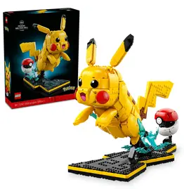 Pikachu and Poké Ball