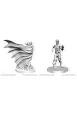 WizKids D&D Nolzur W28 Classic Vampire & Classic Zombie