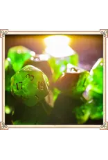 Scented Dice 7 Die Set Nature's Embrace