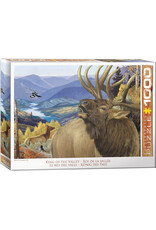 Eurographics Puzzle: King of the Valley