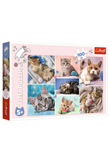 Trefl Puzzle: In the Cat World 100 Piece (Trefl Kids)