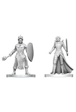 WizKids D&D Nolzur's Marvelous Miniatures: Black Gauntlet & Zhentilar Paladin of Bane