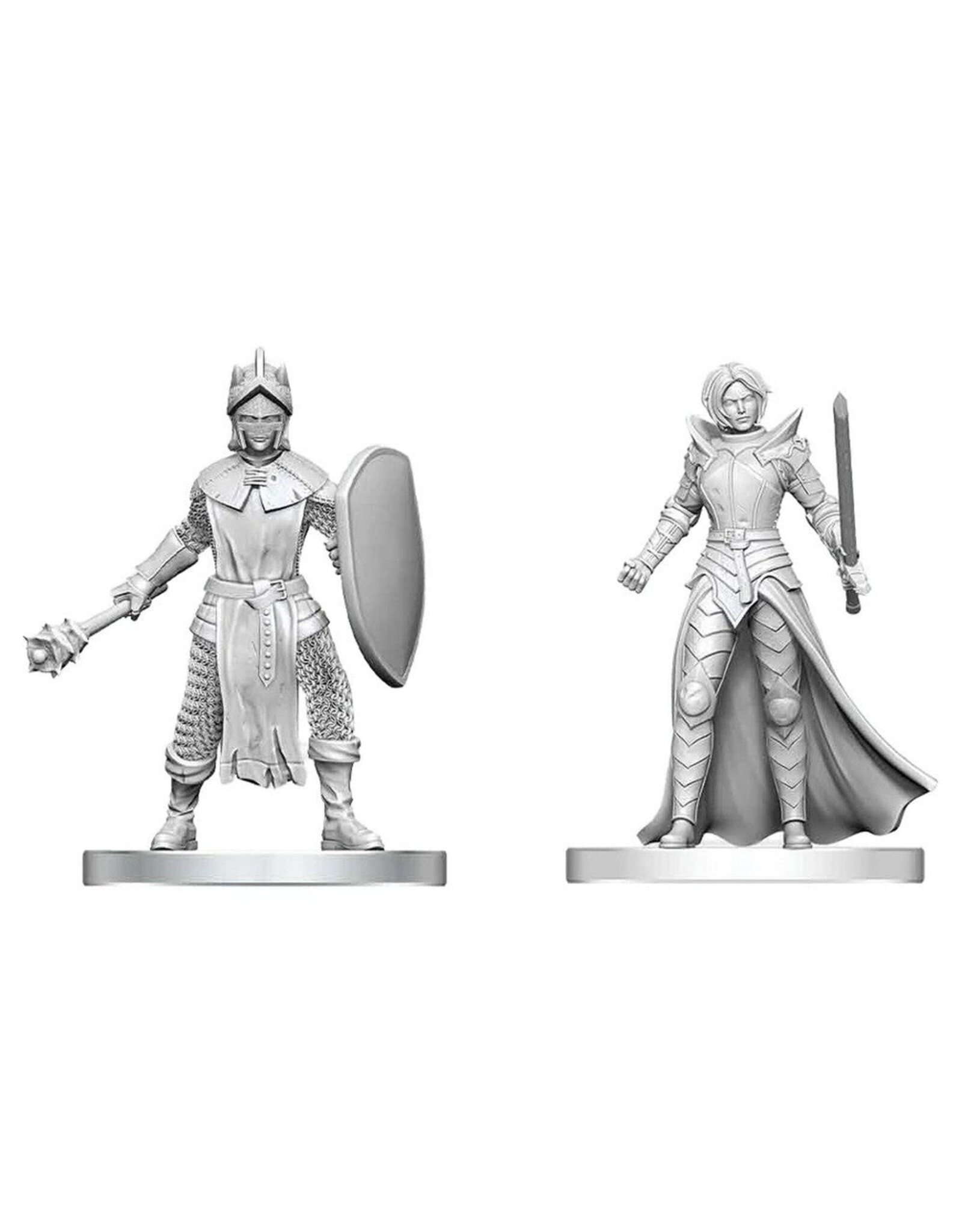 WizKids D&D Nolzur's Marvelous Miniatures: Black Gauntlet & Zhentilar Paladin of Bane