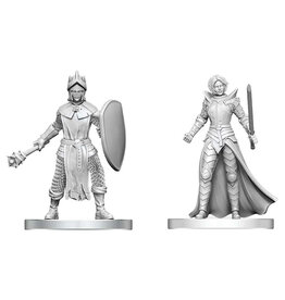 WizKids D&D Nolzur's Marvelous Miniatures: Black Gauntlet & Zhentilar Paladin of Bane