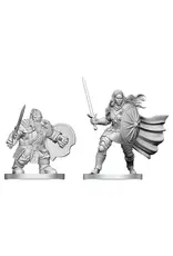 WizKids D&D Nolzur's Marvelous Miniatures: Dwarf Fighter & Orc Paladin