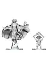 WizKids D&D Nolzur's Marvelous Miniatures: Gnome Warlock & Aasimar Wizard