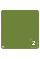 Citadel Tone: Kruleboyz Green 2 12ml