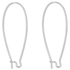 Bead World Kidney Ear Wire
