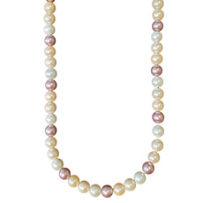 Mixed Color Shell Pearl 16" Strand 10mm