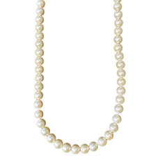 Ivory Color Shell Pearl 16" Strand 10mm