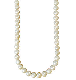 Ivory Round Flat Shell Pearl 16" Strand 12mm