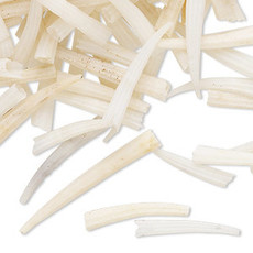 Dentalium Shell 13-26mm undrilled/30gms