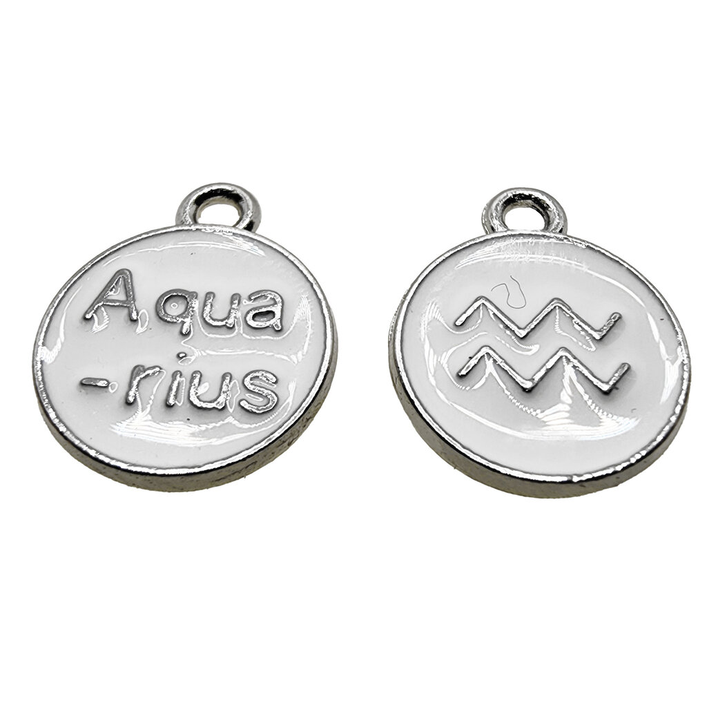 Silver White Aquarius Enamel Charm 12mm 3pcs.