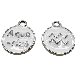 Silver White Aquarius Enamel Charm 12mm 3pcs.