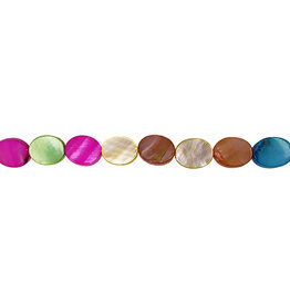Oval Multi Color Shell Beads 16" Strand