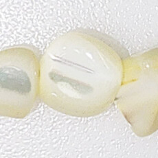 Nuggets Mother of Pearl 16" Strand