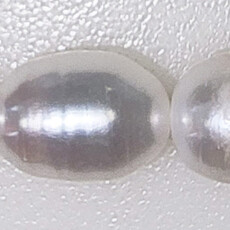 Rice Fresh Water Pearl 16" Strand