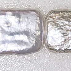 Rectangle Fresh Water Pearl 16" Strand