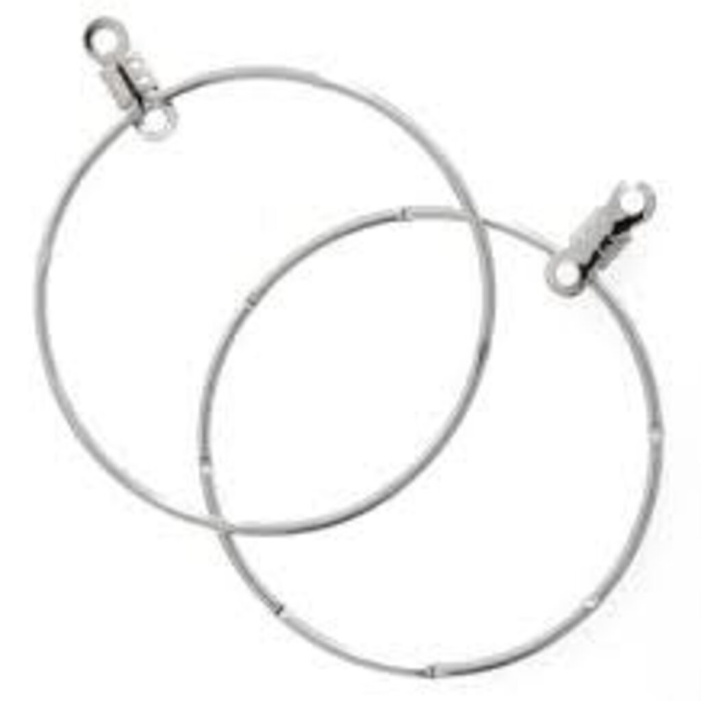 Bead World Notched Ear Hoop