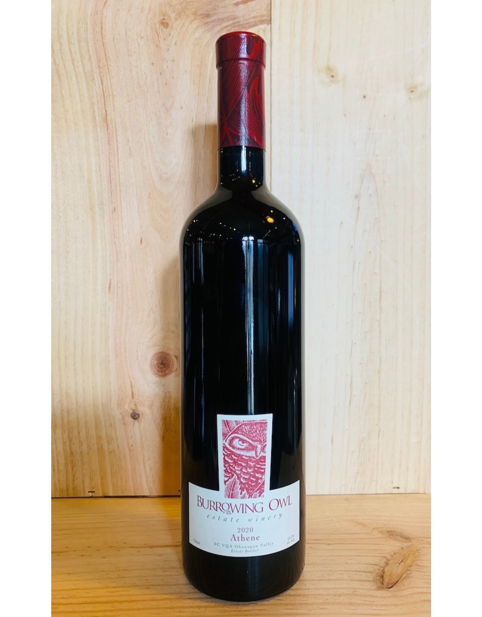 Wine Burrowing Owl Athene