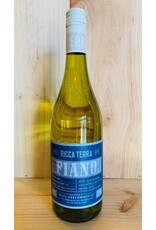 Wine Ricca Terra Fiano