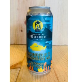 Beer Backcountry I Wonder If It Remembers Me Hazy Pale 473ml