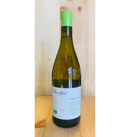 Wine Dom Brial Muscat Sec