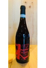 Wine Noah 'Rossonoah' Coste Della Sessia