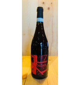 Wine Noah 'Rossonoah' Coste Della Sessia