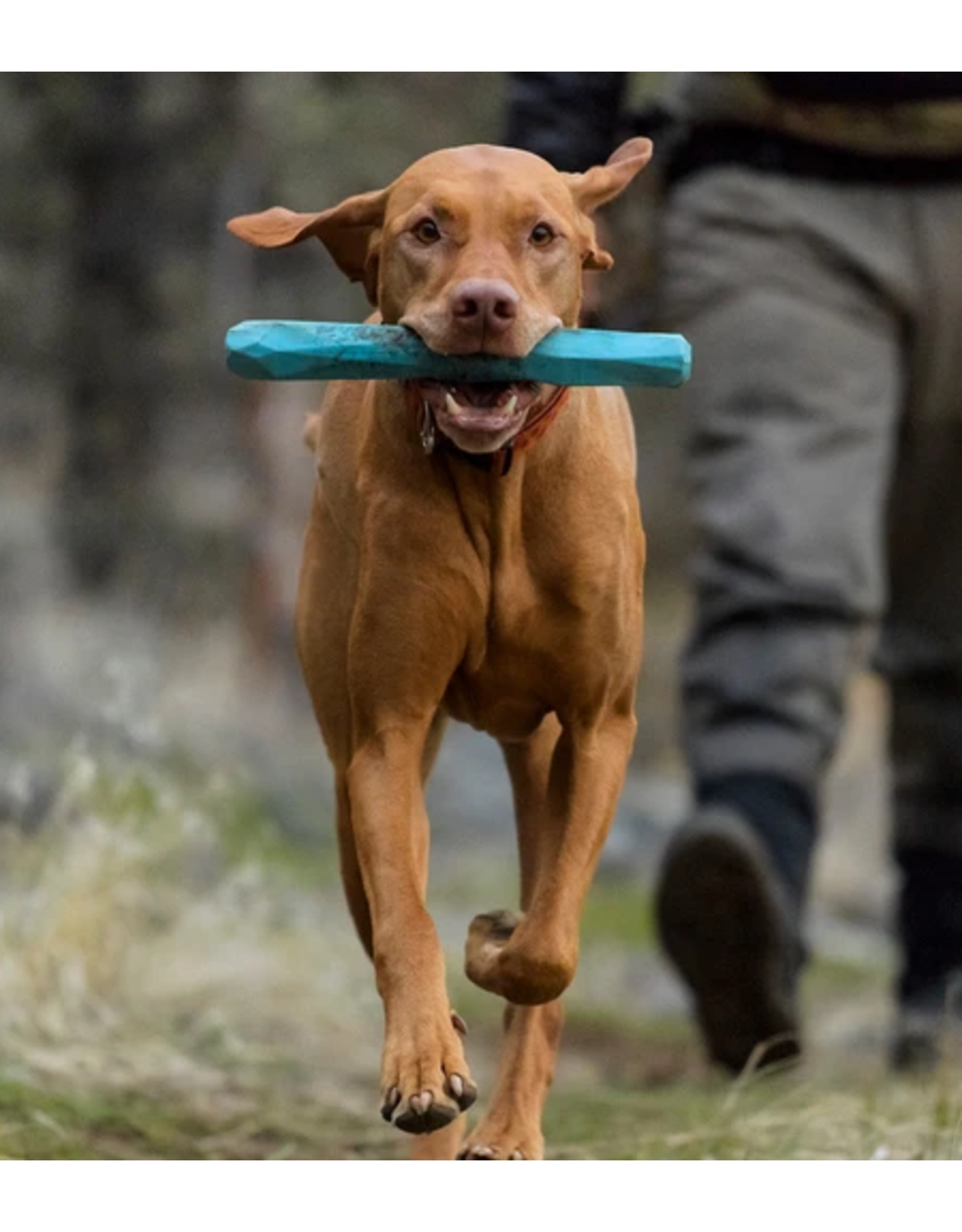 ruffwear stick