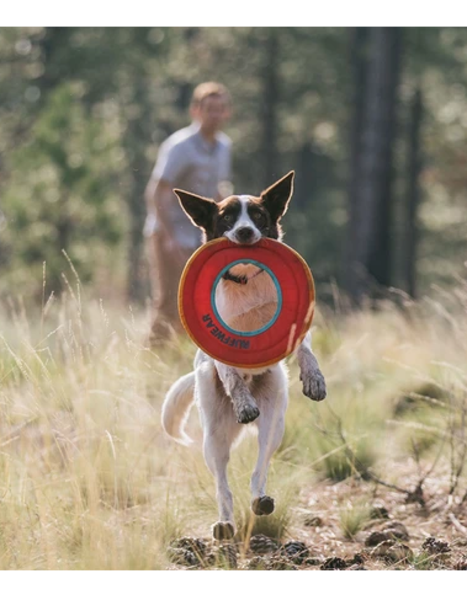 ruffwear dog frisbee