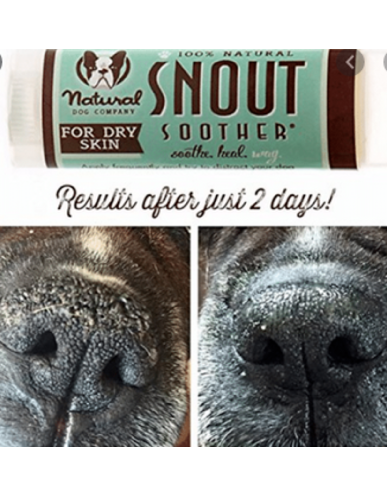 the natural dog company skin soother