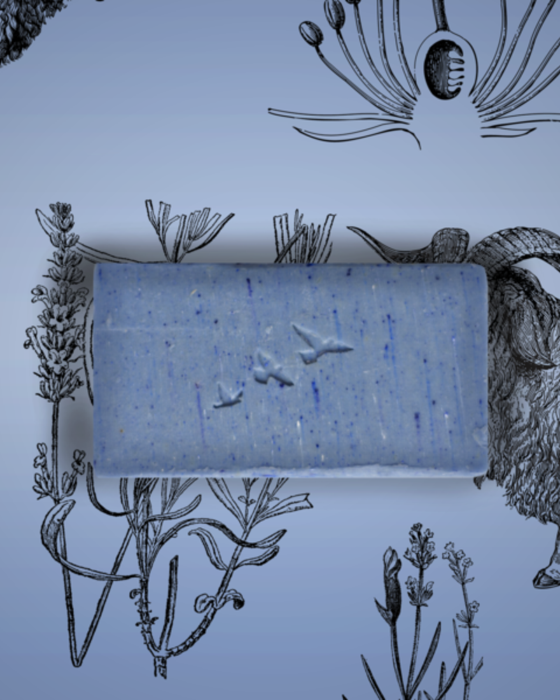 Monsillage Lavander soap