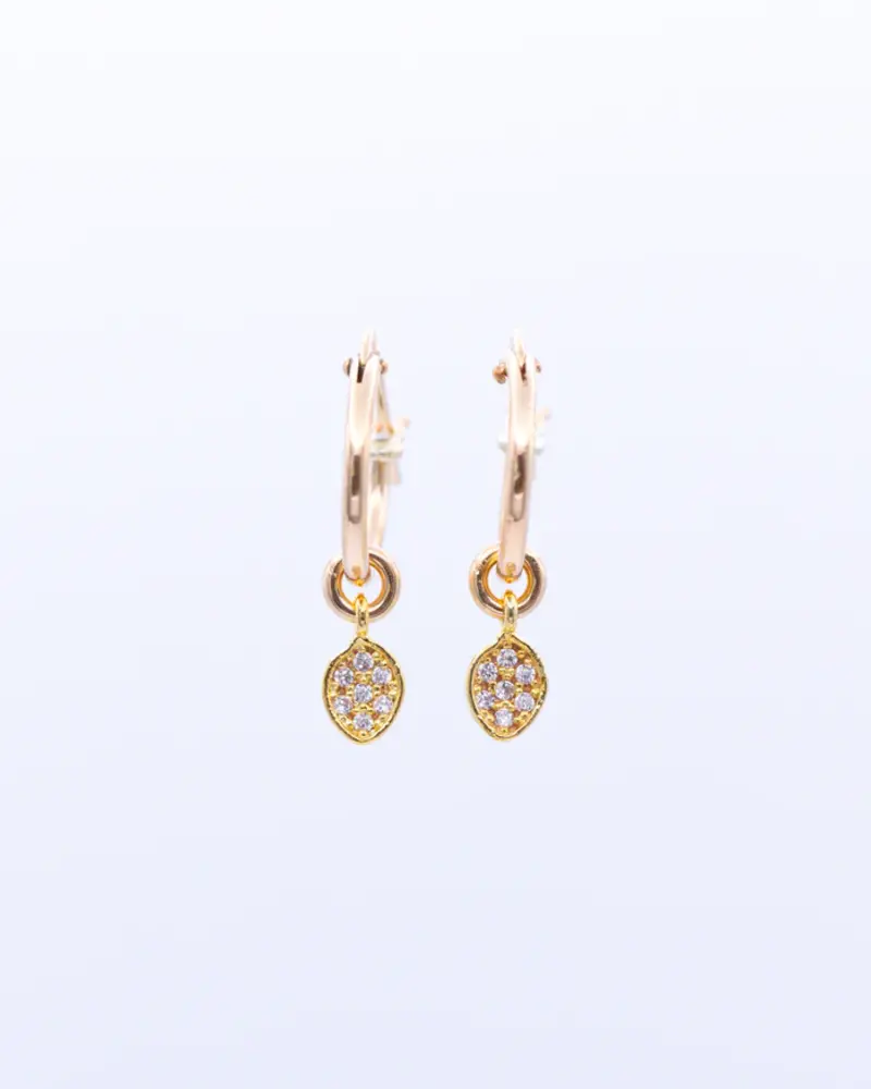 PICCINI HOOPS