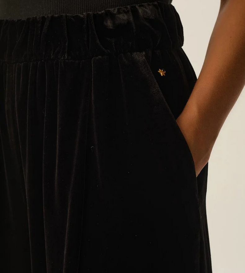 IRIS VELVET PANTS