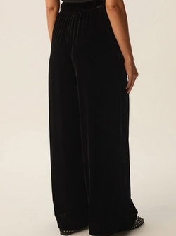 IRIS VELVET PANTS