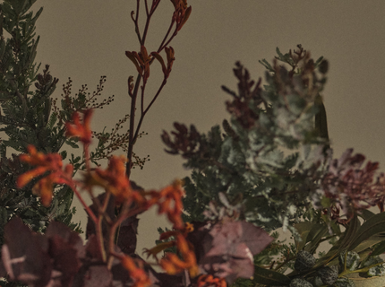 INSPIRATION DE LA SEMAINE