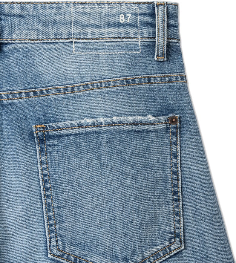 ODINA
