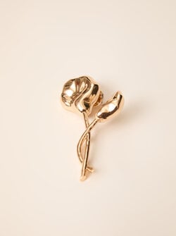 BROCHE PHLOX