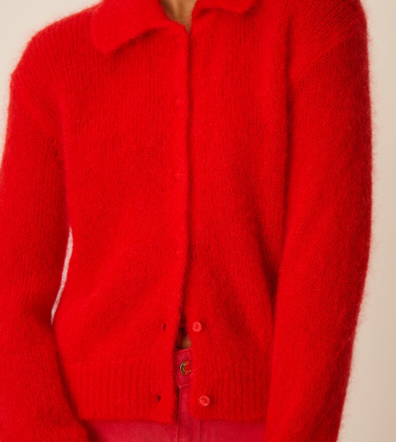 CARDIGAN ALPOLO