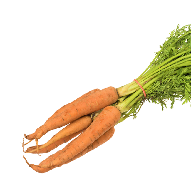 Carrot Bale Cello, 2 lb