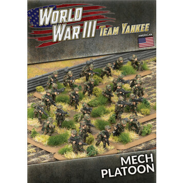 Team Yankee: Mech Platoon