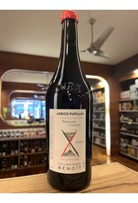 Cellier Saint Benoit Ploussard Chambines Arbois Pupillin - 750 ML