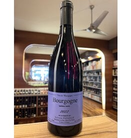 Sylvain Pataille Bourgogne Rouge - 750 ML