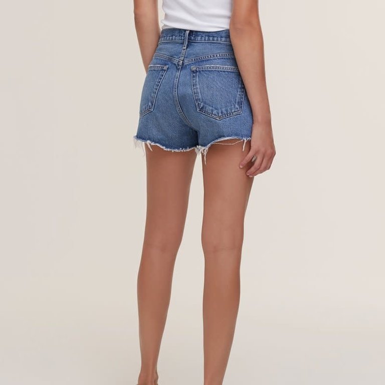 Agolde Parker Vintage Cut Off Short Lowkey