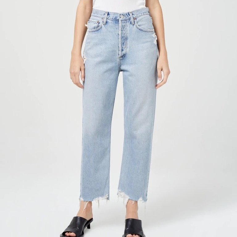 Agolde 90's Crop Pant In Nerve