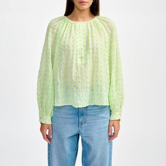 Belle rose Haiti Top Shell